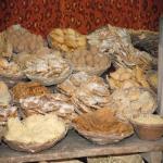 Vraj-Yatra-2014- (947)